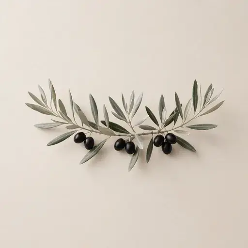 Olive Tree