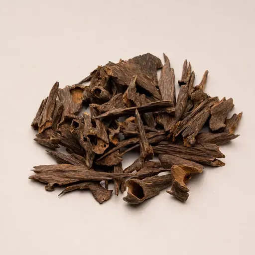 Cambodian Oud