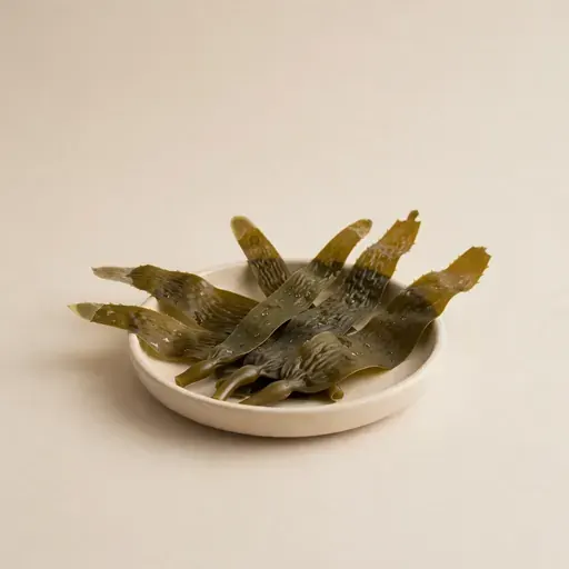 Seaweed
