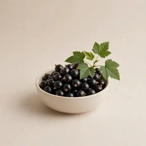 Cassis