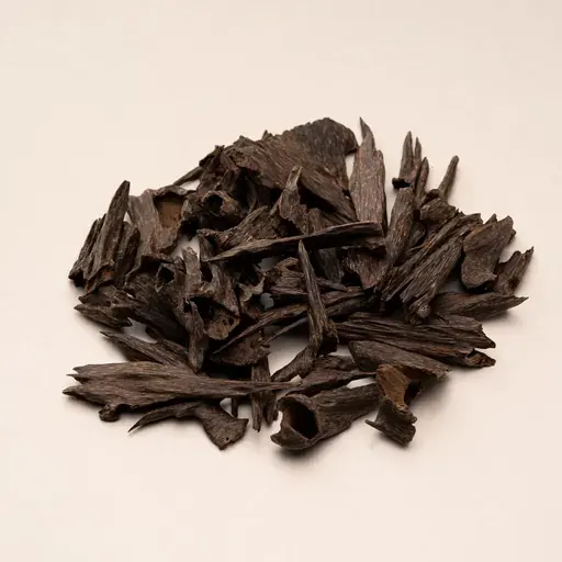 Indian Oud