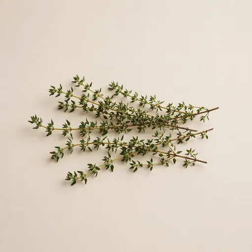 Thyme