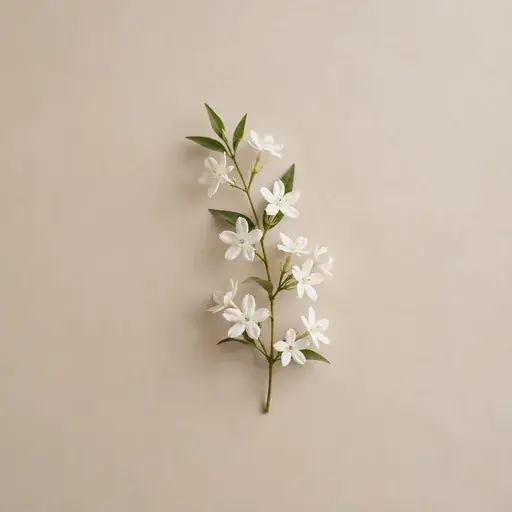 Night Blooming Jasmine