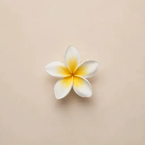 Plumeria