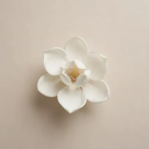 Magnolia