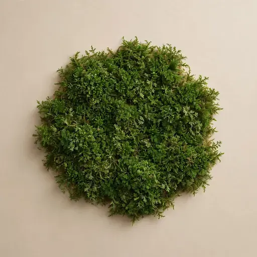 Moss