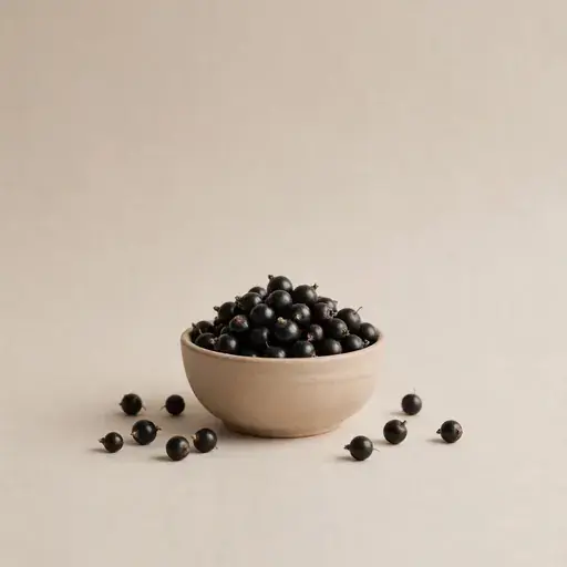 Black Currant