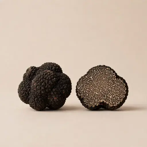 Truffle