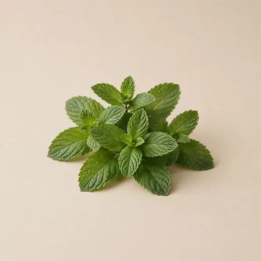 Peppermint