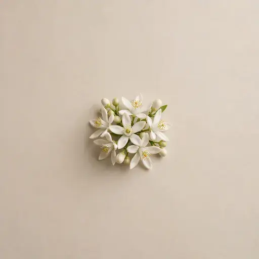 Mandarin Orange Blossom