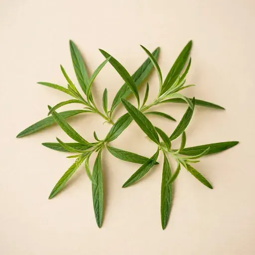 Lemon Verbena