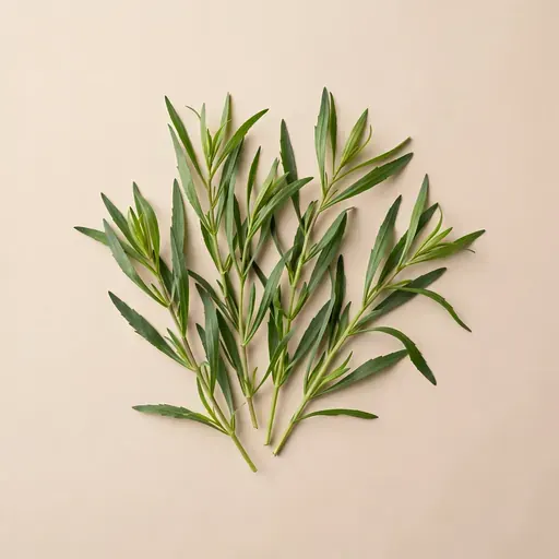Tarragon