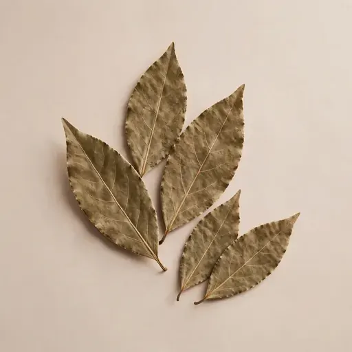 Bay Leaf