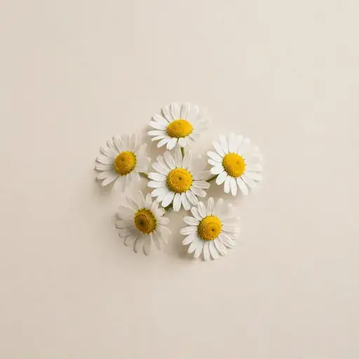 Chamomile