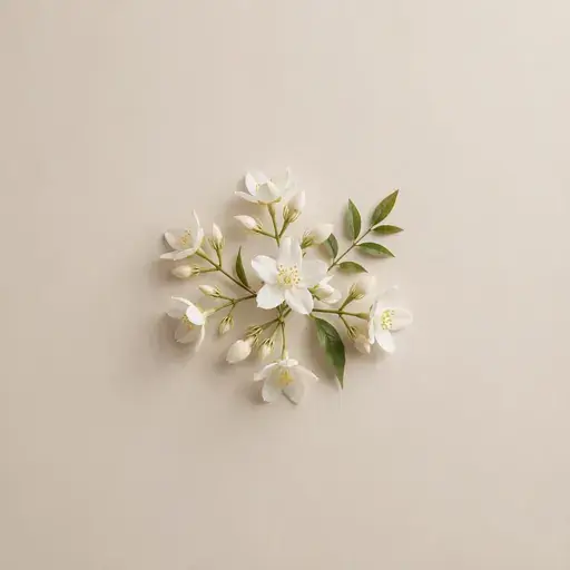 Jasmine