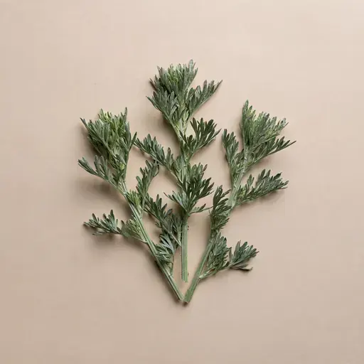 Wormwood