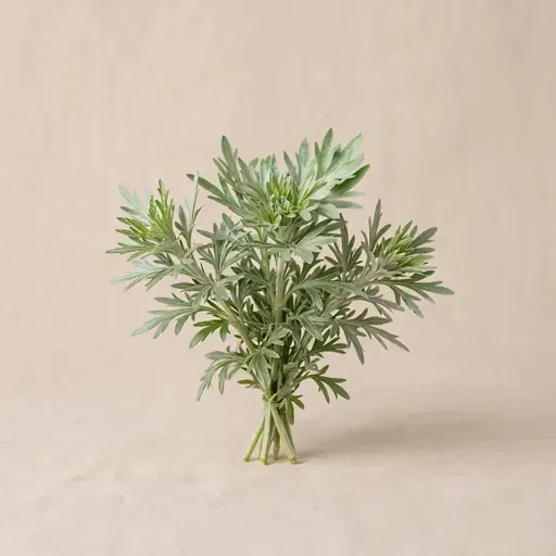 Artemisia