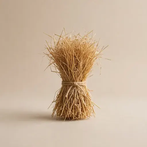 Hay