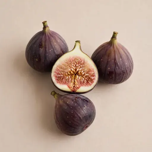 Fig