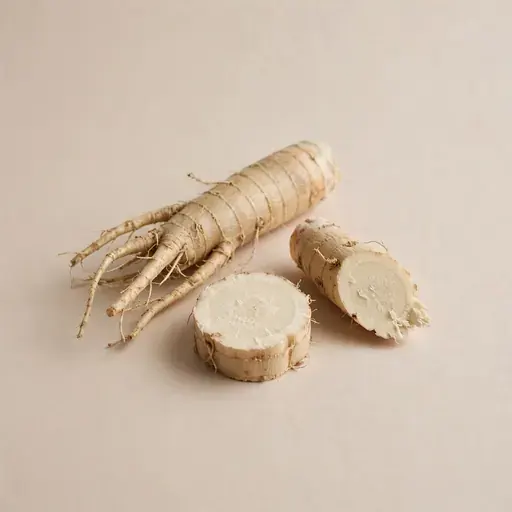 Angelica Root